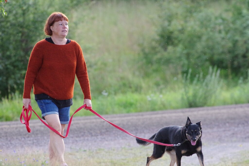 Bilden visar mig och min hund på promenad. Jag har den rostbruna stickade tröjan och jeansshorts på mig. Kopplet är rött. Hunden är svart (black and tan).